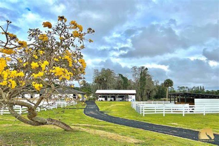 🎄 Christmas Festival at Blue Ridge Farms | Macaroni KID Palm Beach Gardens