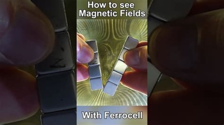 DIY Ferrocell: How to make a magnetic field viewer