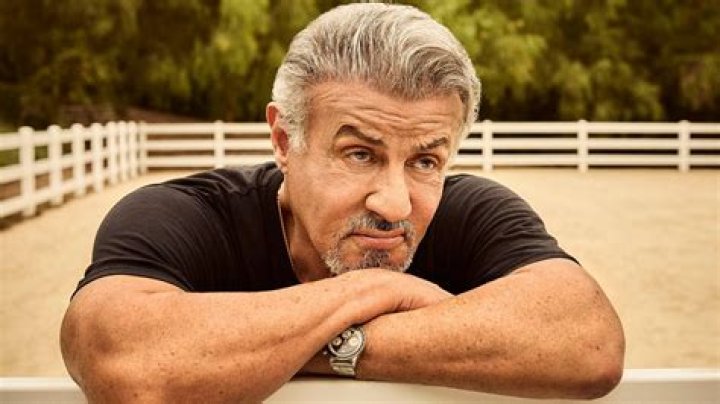 Unveiling The Legend: Silvester Stelone